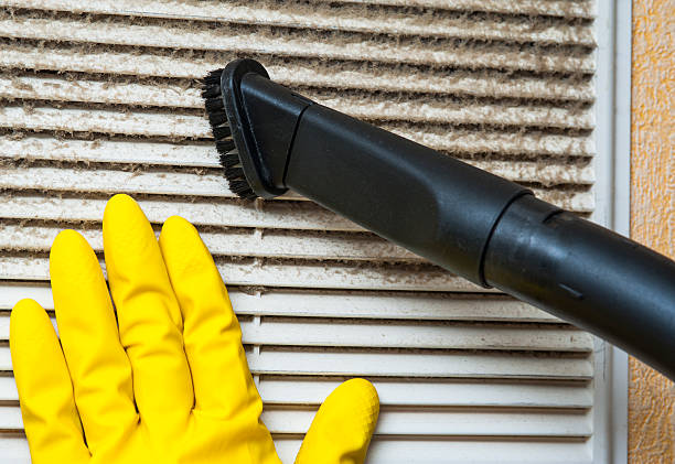 Best Ductwork Cleaning Services  in Brooksi, DE